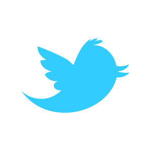 logo twitter
