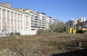 Disparition des arbres sur le site du futur hôtel