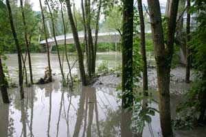 Inondation300508